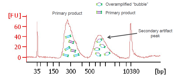 PCR_overamplification