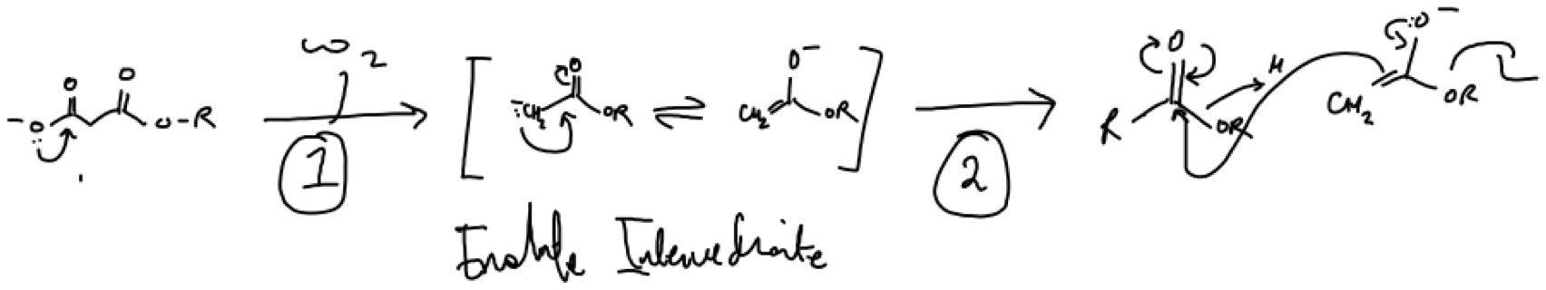 Figure 2. Example of a claisen condensation between two esters