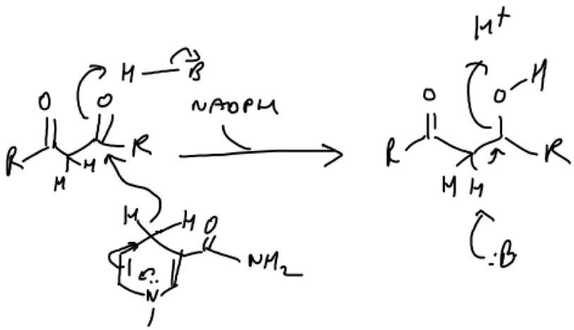 Figure 4. Example of an elimination mechanism