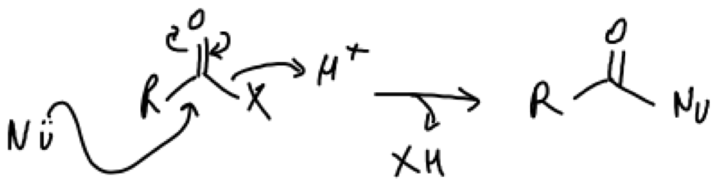 Figure 3. Example of a nucleophillic acyl substitution mechanism